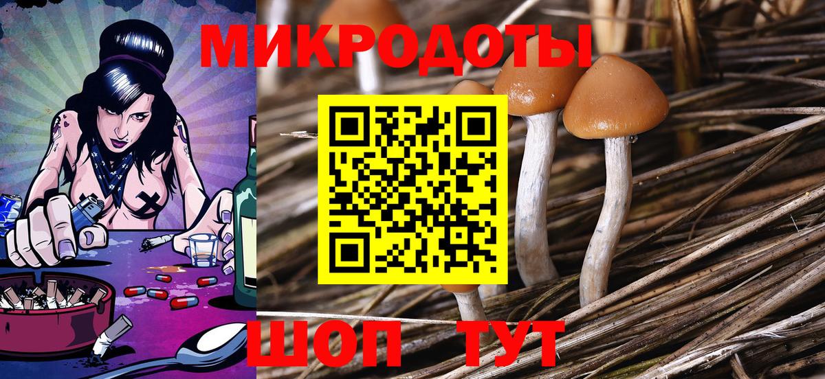 Галлюциногенные грибы Magic Shrooms Каспийск
